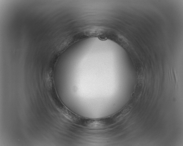 X0000063520460200602032114