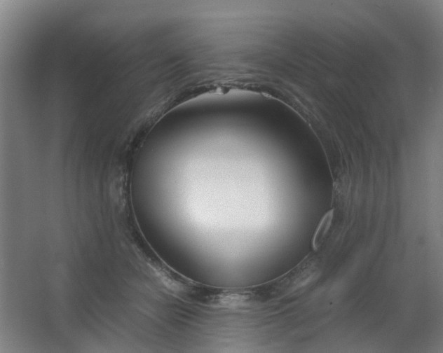 X0000063520462200602032114