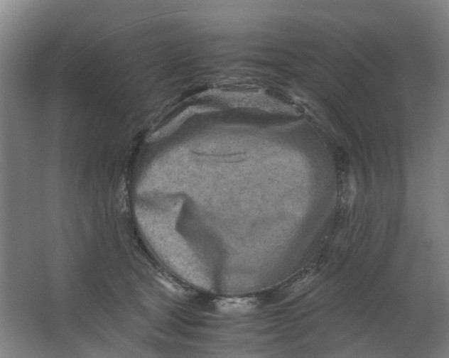 X0000063520465200602032114