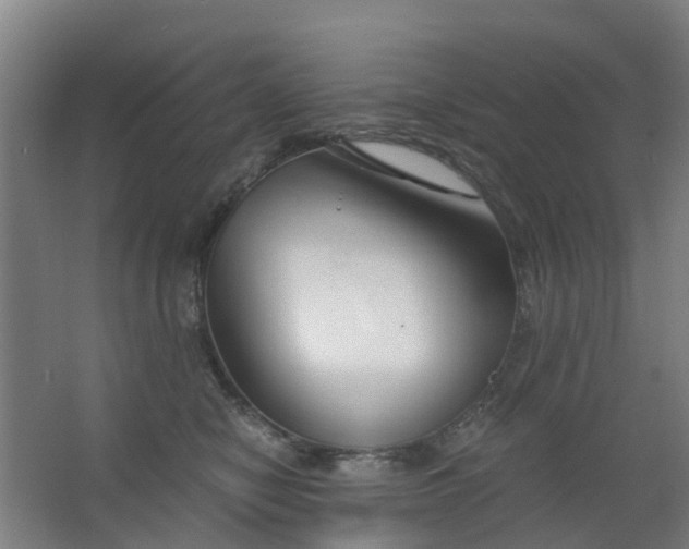 X0000063520470200602032114