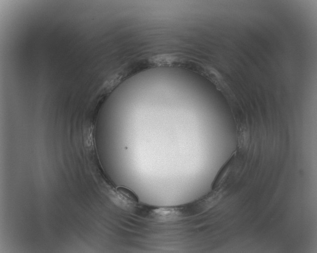 X0000063520477200602032115