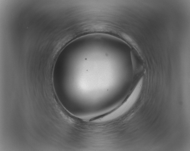 X0000063520481200602032114