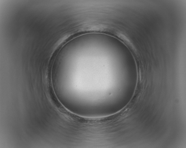 X0000063520483200602032114