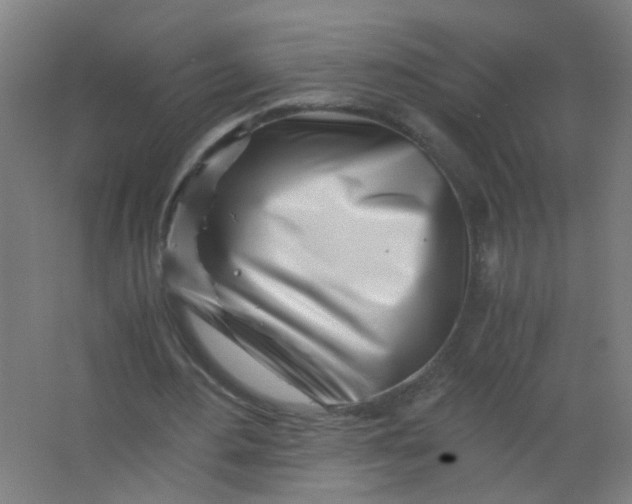 X0000063520484200602032114