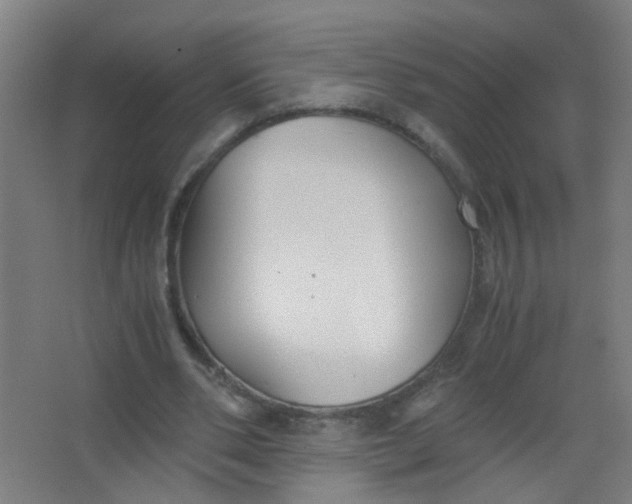 X0000063520486200602032114