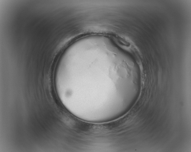 X0000063520487200602032114