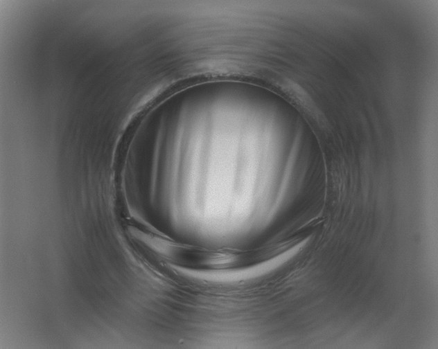 X0000063520488200602032114