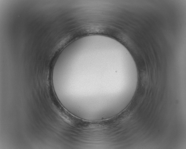 X0000063520490200602032114