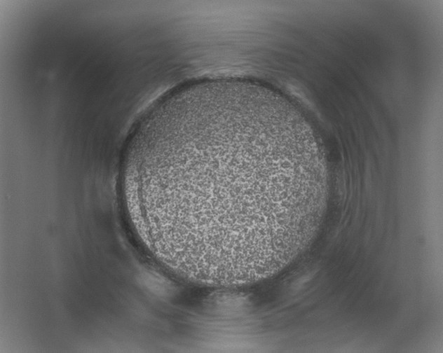 X0000063520491200602032114