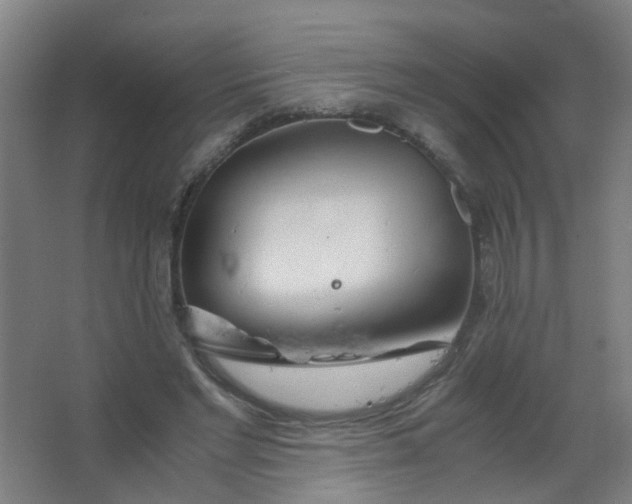 X0000063520493200602032114