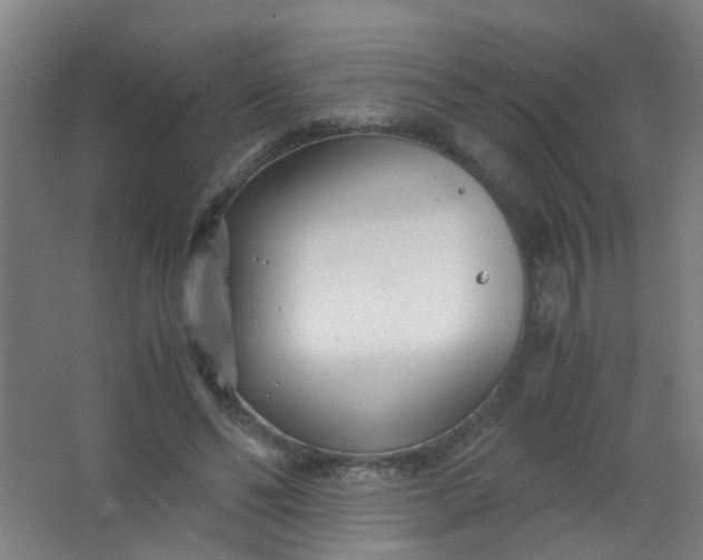 X0000063520494200602032114