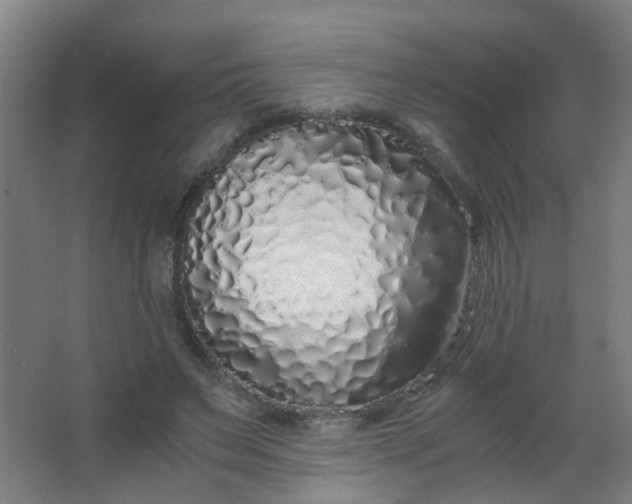 X0000063520495200602032114