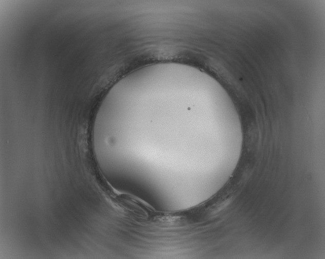 X0000063520497200602032113