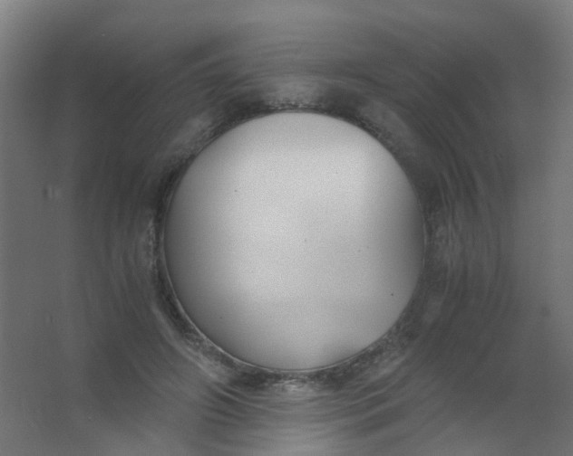 X0000063520498200602032113