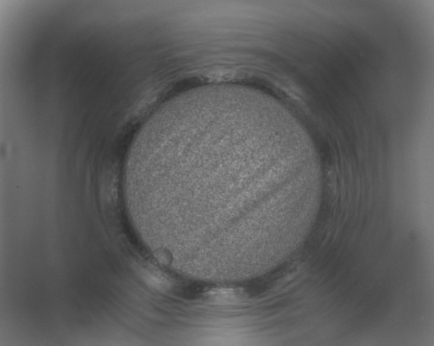 X0000063520499200602032113