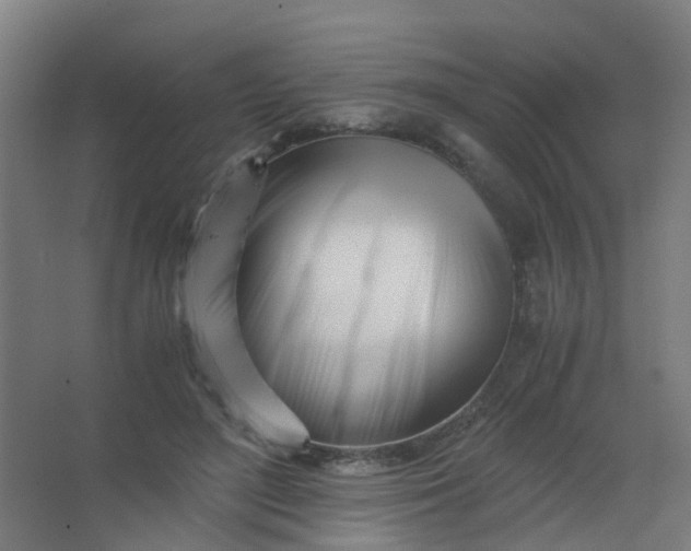 X0000063520500200602032113