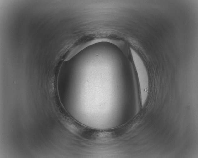 X0000063520501200602032113