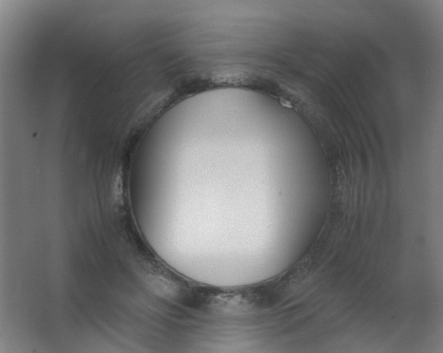 X0000063520502200602032113