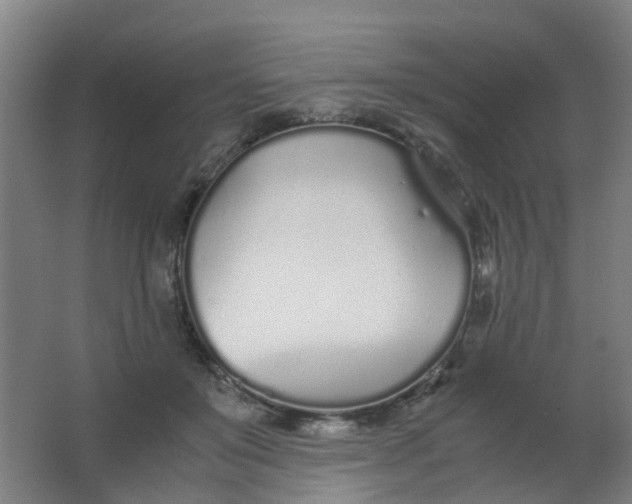 X0000063520503200602032113