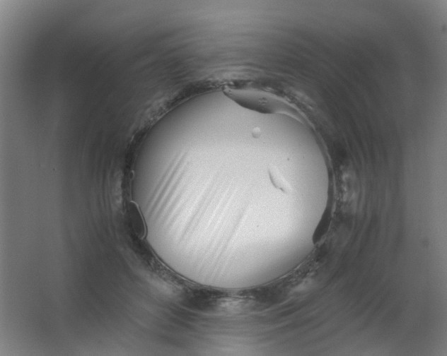 X0000063520504200602032113