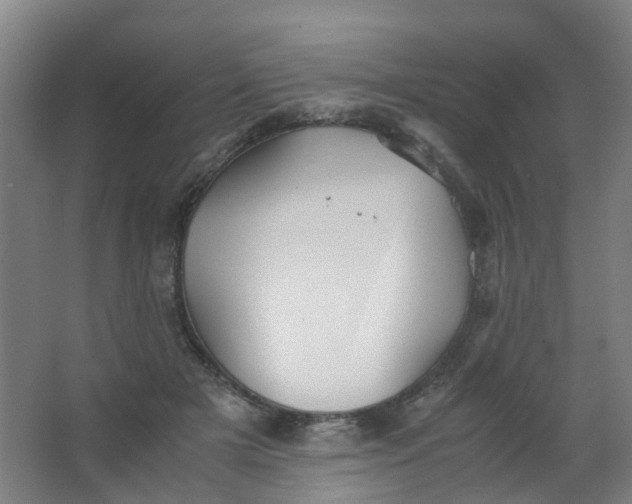 X0000063520505200602032113