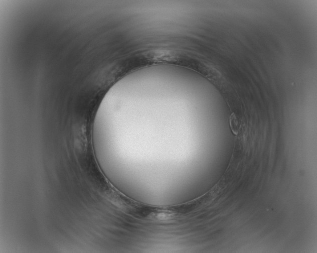 X0000063520506200602032113