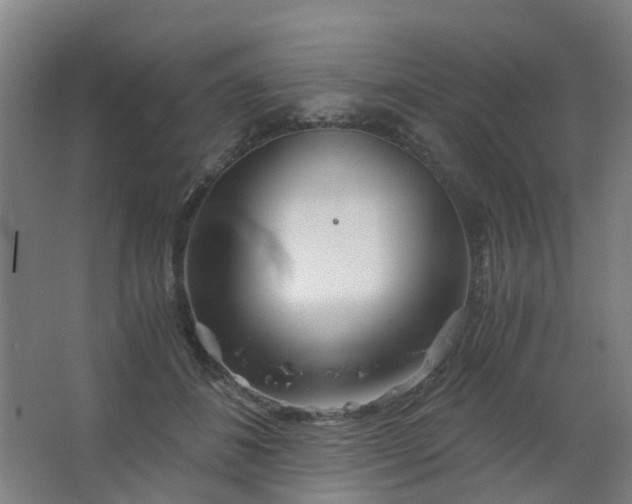 X0000063520508200602032113