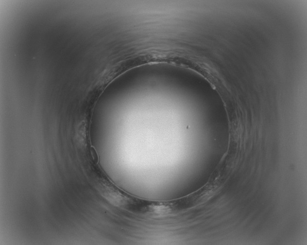 X0000063520509200602032113