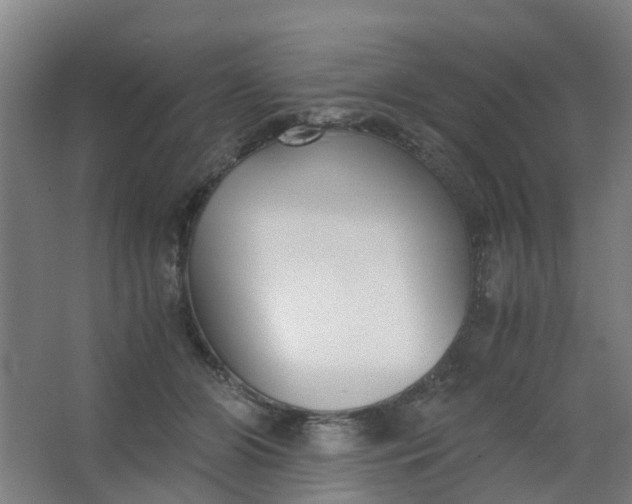 X0000063520510200602032113