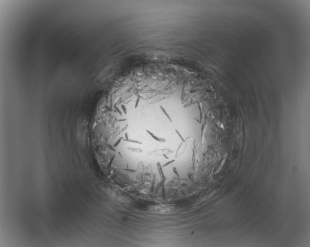 X0000063520511200602032113