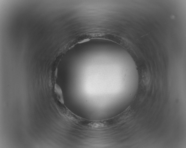 X0000063520512200602032113