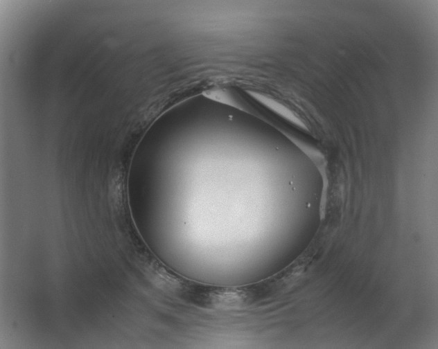 X0000063520513200602032113