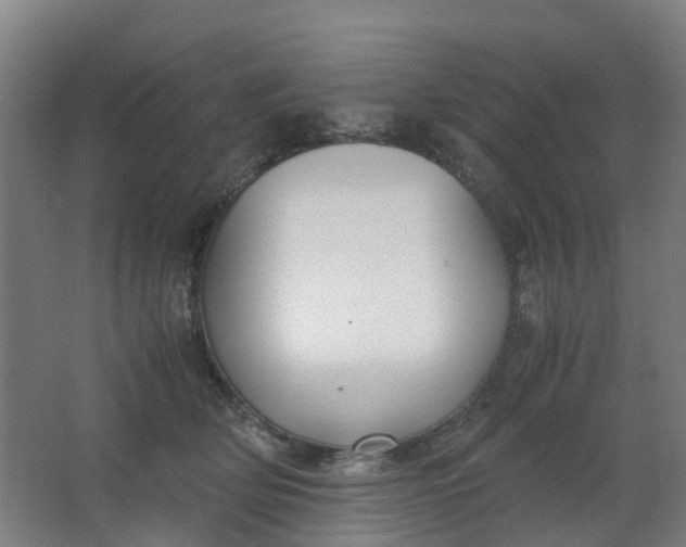 X0000063520514200602032113