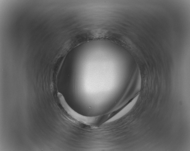 X0000063520516200602032113