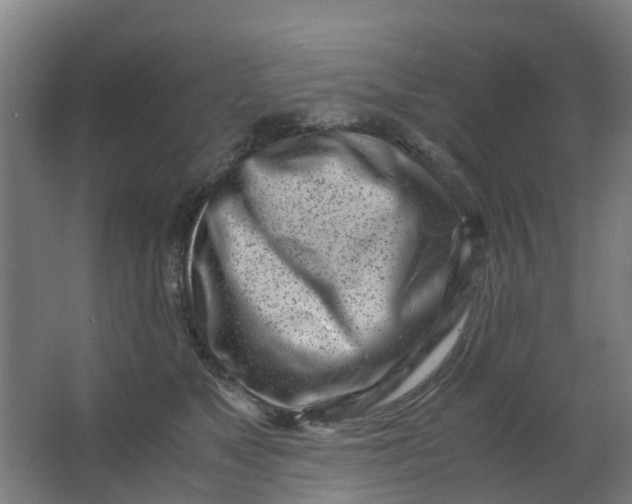 X0000063520517200602032113