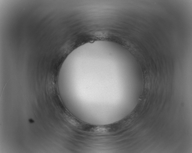 X0000063520518200602032113