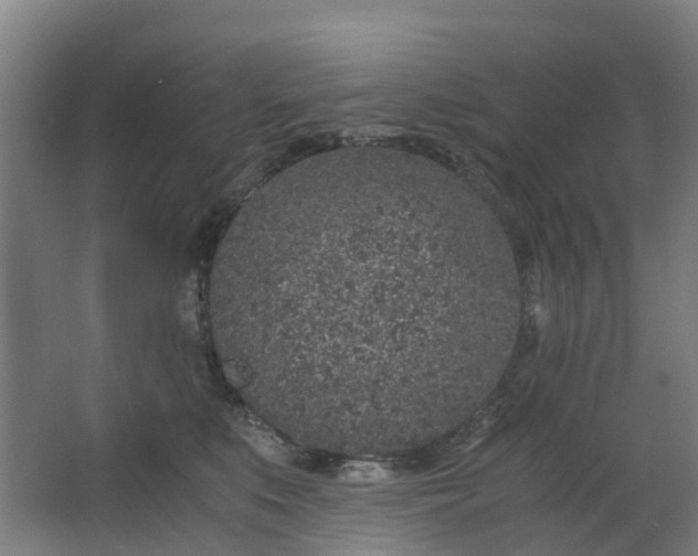 X0000063520519200602032113