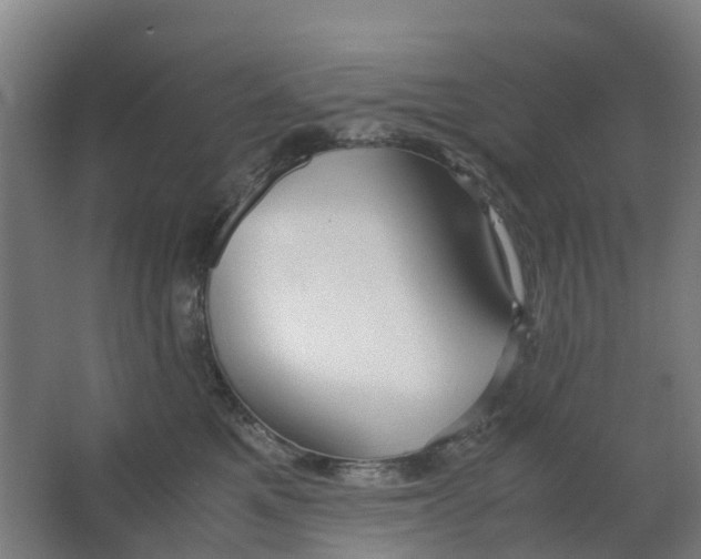 X0000063520521200602032113