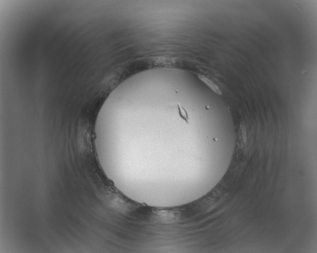 X0000063520522200602032113