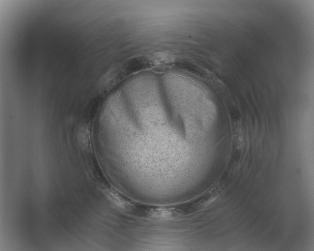 X0000063520523200602032113