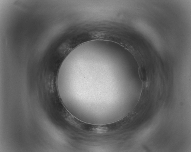 X0000063520525200602032113