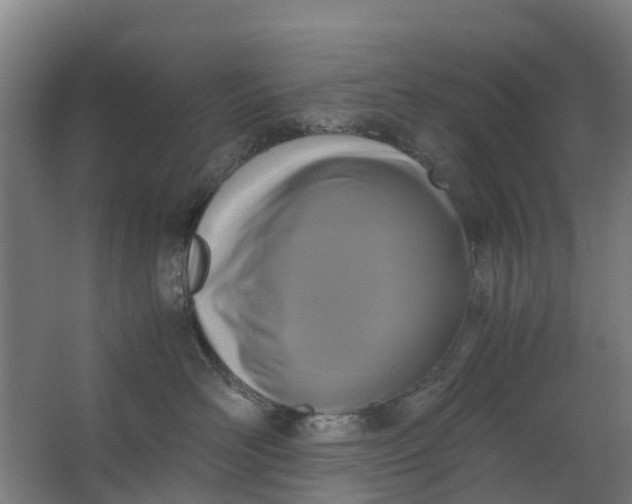 X0000063520526200602032113