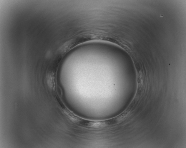 X0000063520527200602032113