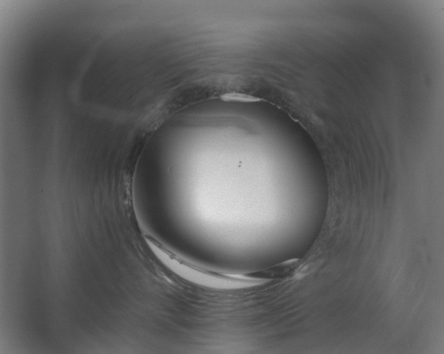 X0000063520528200602032113