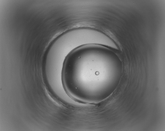 X0000063520530200602032112