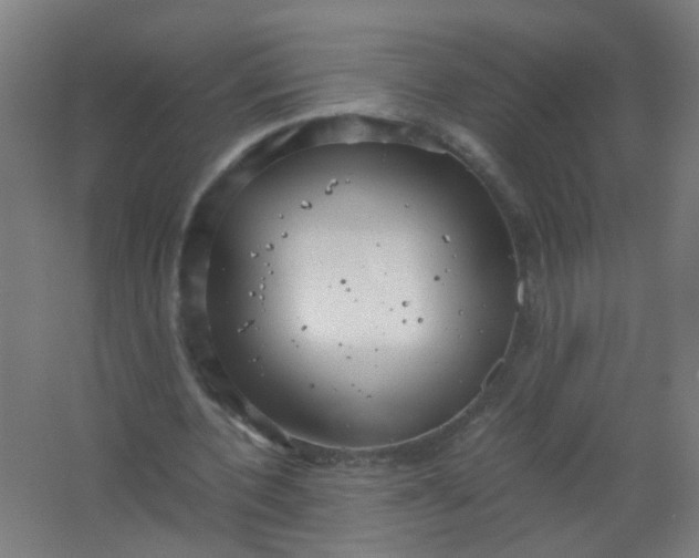 X0000063520532200602032112