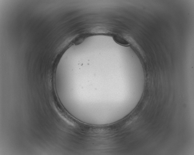 X0000063520533200602032112