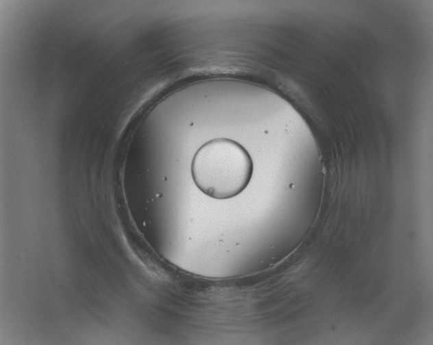 X0000063520534200602032112