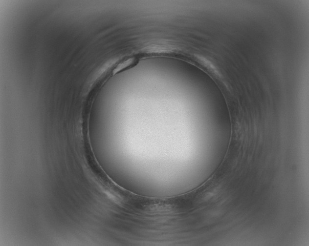 X0000063520535200602032112