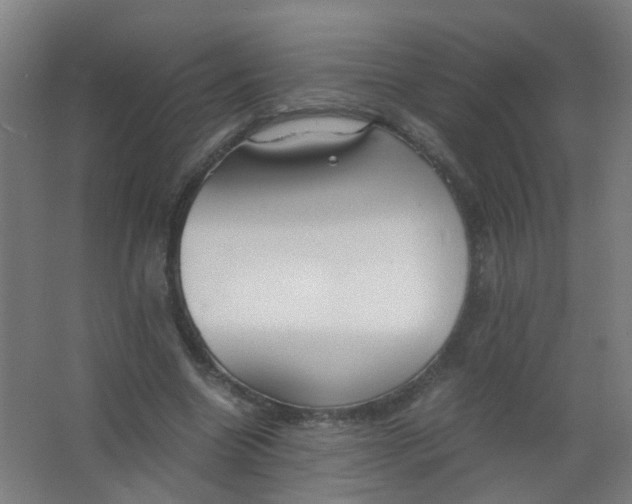 X0000063520538200602032112